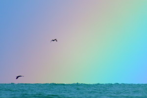 9DA7EFA6-7CDC-451E-93D6-84168EA4DEA1