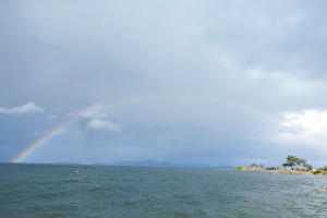 CDE9EDE6-1852-4776-9839-4B58FE22C6F0